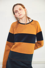 Load image into Gallery viewer, Velvet Sweatshirt