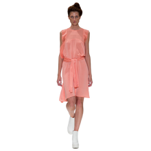 Load image into Gallery viewer, Silky Wing Dress