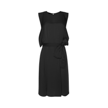 Load image into Gallery viewer, Silky Wing Dress