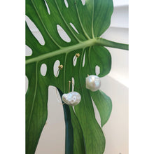 Load image into Gallery viewer, Freshwater Pearls Hoop Earrings Gold
